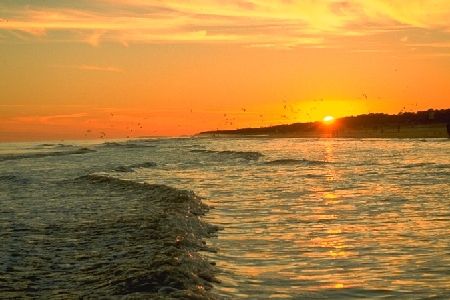 SEACREST - HILTON HEAD